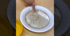 Učiteľka materskej školy pripravila deťom experiment. Jasne im ukázala, ako sa vírus bojí mydla