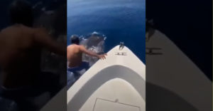 Z lode zoskočil rovno na žraloka a odplával na ňom preč