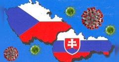 Od kedy sa šíri? Vedci potvrdili československý variant koronavírusu