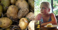 Príbeh 8 ročného dievčatka, ktoré stratilo celú svoju rodinu kvôli zemiakom. Chyba, na ktorú by ste si mali dať pozor