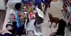 Chlapec chráni svojho psa pred útokom v obchode