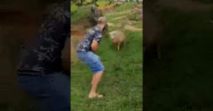 Ako sa vyhnúť útoku oviec (Jednoduchý trik)