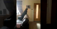 Pes uvidel fotku svojho zosnulého štvornohého parťáka (Dojímavá reakcia)
