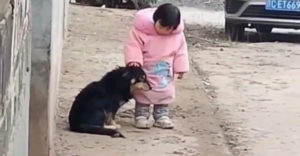 Dievčatko chráni psa pred ohňostrojom