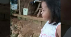 Dievčatko svojou neobyčajnou silou privolalo komárov (Ako magnet)