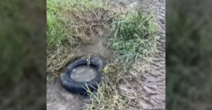 Farmár vyčistil potrubie pomocou starej pneumatiky (Hit internetu)