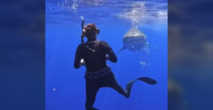 Ukázala spôsob, ako sa vyhnúť útoku žraloka v mori