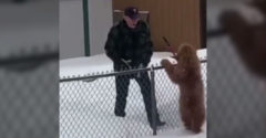 Muž odhŕňa kopu snehu, len aby sa mohol pozdraviť so susedovým psom