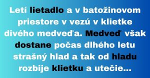 Medveď v lietadle dostane hlad a ujde z klietky (Vtip)