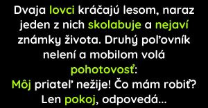 Dvaja lovci idú cez les a jeden náhle skolabuje (Vtip)