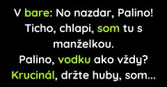 Palino priviedol do baru manželku (Vtip)