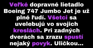 Cestujúci v lietadle začnú stresovať, keď zbadajú slepých pilotov (Vtip)