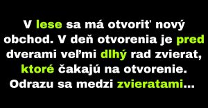 V lese sa otvára nový obchod (Vtip)