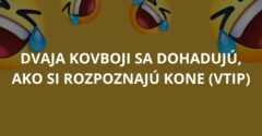 Dvaja kovboji sa dohadujú, ako si rozpoznajú kone (Vtip)