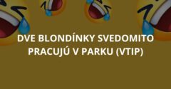 Dve blondínky svedomito pracujú v parku (Vtip)