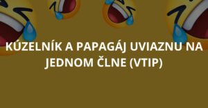 Kúzelník a papagáj uviaznu na jednom člne (Vtip)