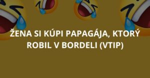 Žena si kúpi papagája, ktorý robil v bordeli (Vtip)