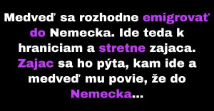 Medveď sa rozhodne emigrovať do Nemecka (Vtip)