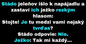 Ježko vyruší stádo jeleňov pri napájadle (Vtip)