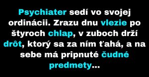 Psychiater sa prihovorí čudnému chlapovi (Vtip)