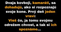 Dvaja kovboji sa dohadujú, ako si rozpoznajú kone (Vtip)