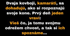Dvaja kovboji sa dohadujú, ako si rozpoznajú kone (Vtip)