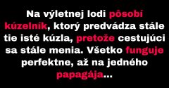 Kúzelník a papagáj uviaznu na jednom člne (Vtip)
