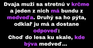 Muž túži po bunde z medveďa (Vtip)