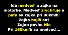 Medveď a zajko idú spolu na motorke (Vtip)