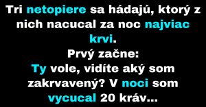 Netopiere sa hádajú, kto nacucal viac krvi (Vtip)