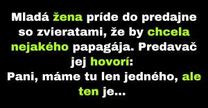 Žena si kúpi hovoriaceho papagája (Vtip)