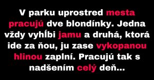 Dve blondínky svedomito pracujú v parku (Vtip)