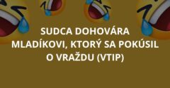 Sudca dohovára mladíkovi, ktorý sa pokúsil o vraždu (Vtip)