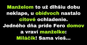 Manželia sa snažia zachrániť ich zhoršujúce sa manželstvo (Vtip)