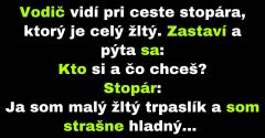 Vodiča v priebehu cesty zastaví niekoľko stopárov (Vtip)