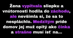 Muž si myslel, že na záchode z neho vyšli vnútornosti (Vtip)