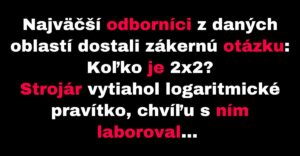 Najväčší odborníci odpovedajú, koľko je 2×2 (Vtip)