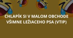 Chlapík si v malom obchode všimne ležiaceho psa (Vtip)