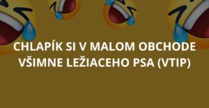 Chlapík si v malom obchode všimne ležiaceho psa (Vtip)