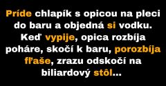 Chlapíkova opica prekvapila všetkých v bare (Vtip)