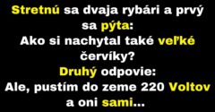 Rybár poradí tomu druhému, ako nachytať väčšie červíky (Vtip)