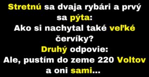 Rybár poradí tomu druhému, ako nachytať väčšie červíky (Vtip)