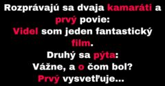 Dvaja kamaráti sa rozprávajú o filme (Vtip)