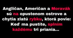 Angličan, Američan a Moravák chytia zlatú rybku (Vtip)