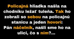 Policajná hliadka našla na chodníku tuleňa (Vtip)