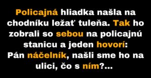 Policajná hliadka našla na chodníku tuleňa (Vtip)