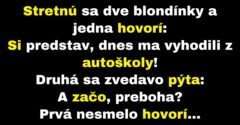 Blondínka vysvetľuje druhej, prečo ju vyhodili z autoškoly (Vtip)