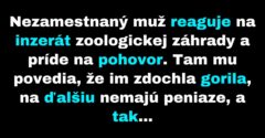 Muž príjme zvláštne zamestnanie v zoologickej záhrade (Vtip)