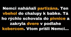 Babka klamala Nemcom, aby ochránila partizána (Vtip)