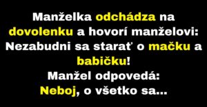 Manžel zostal po manželkinom odchode s mačkou a babičkou (Vtip)